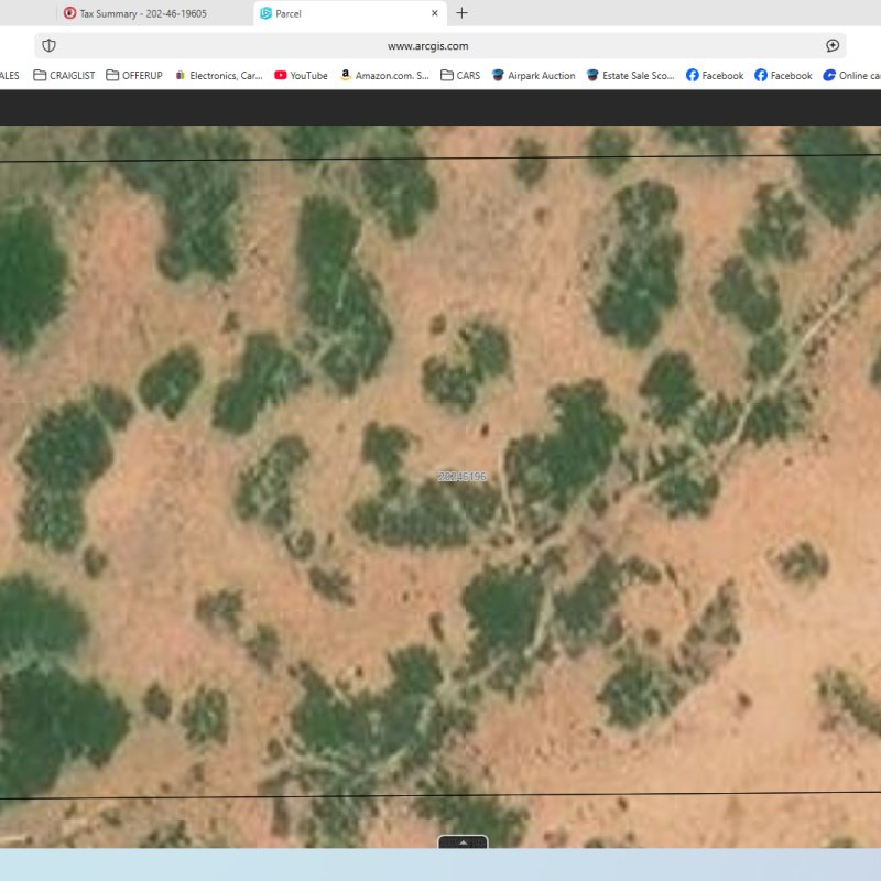Parcel #1 = 202-46-19605 Cochise County AZ 85603 = ARIZONA BELL RANCH LOT 196 = 1.0 AC