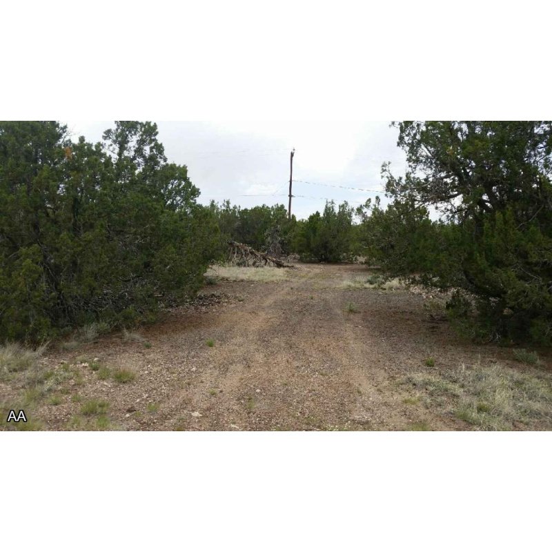 City lot in White Mountain Lake, Show Low AZ 85901