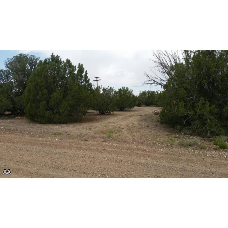 City lot in White Mountain Lake, Show Low AZ 85901