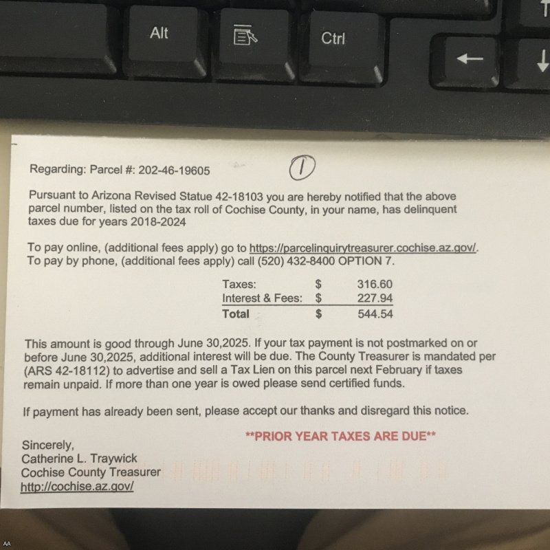 Parcel #1 = 202-46-19605 Cochise County AZ 85603 = ARIZONA BELL RANCH LOT 196 = 1.0 AC