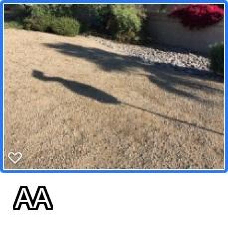 Scottsdale City Lot 85260